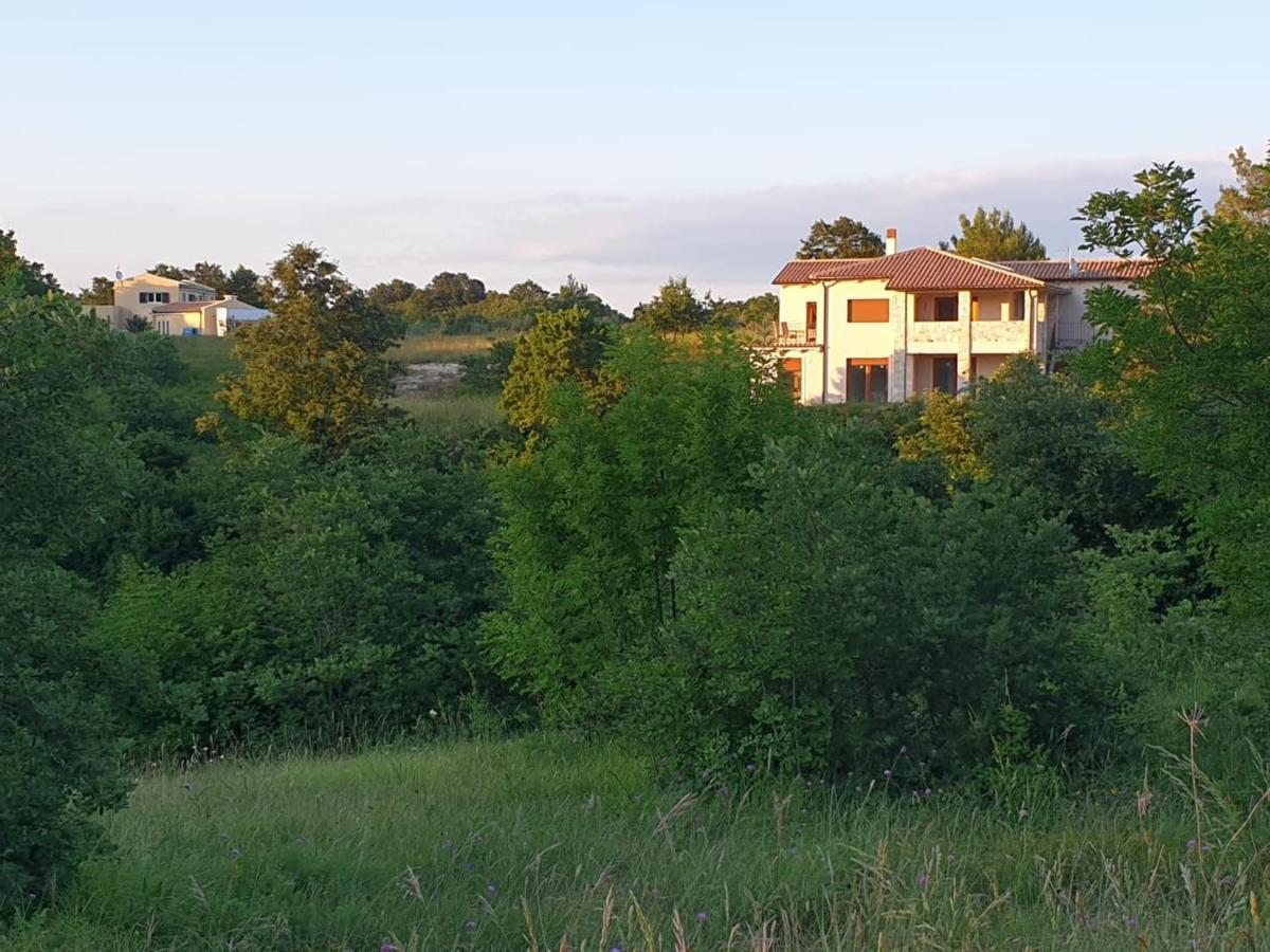 Villa Istra Divšići المظهر الخارجي الصورة