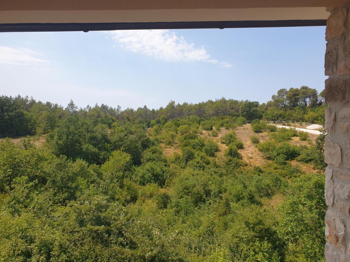 Villa Istra Divšići المظهر الخارجي الصورة